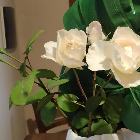 Cruccuris Villasimius