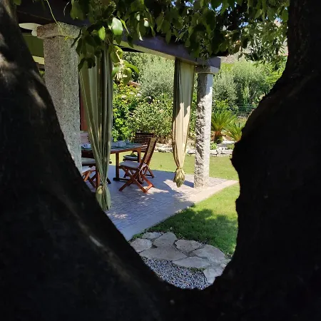 Cruccuris * וילסימיוס