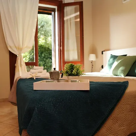 Cruccuris * וילסימיוס